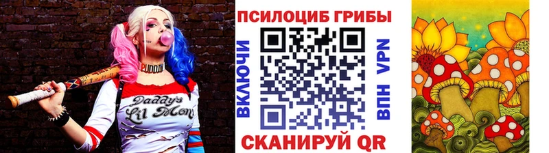 где купить наркоту  Удомля  hydra зеркало  Псилоцибиновые грибы мицелий 